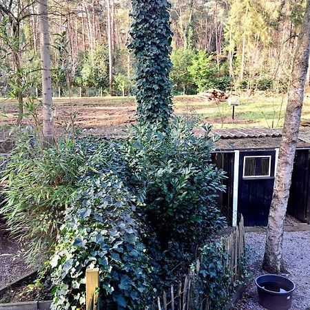Comfortable Chalet In A Unique Location In Forest Essen ภายนอก รูปภาพ