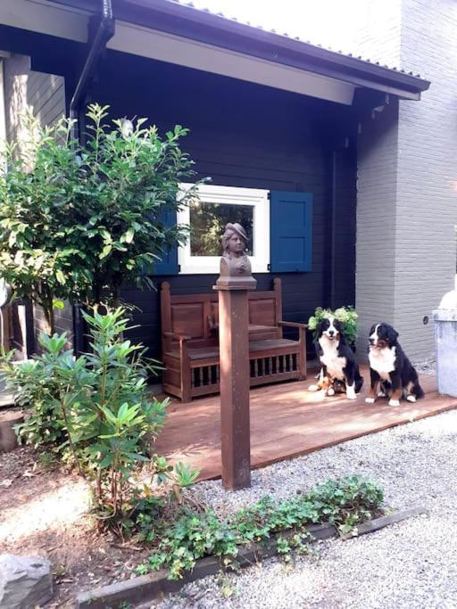 Comfortable Chalet In A Unique Location In Forest Essen ภายนอก รูปภาพ